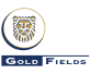 Harga Saham #GFI (#GFI), Grafik & Analisis Langsung | Perdagangan #GFI | LiteFinance