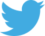 Harga Saham Twitter (#TWTR) pada hari ini | Nilai tukar, grafik online dan analisis | LiteFinance